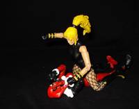 Black Canary (DC Universe) Custom Action Figure