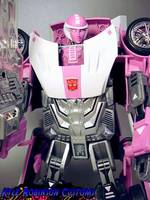 Arcee (Transformers - Alternators) Custom Action Figure