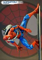 Spider-Man (Marvel Universe) Custom Action Figure