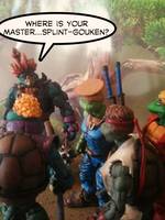 Slash-Kuma (Teenage Mutant Ninja Turtles) Custom Action Figure