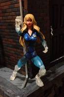 Sue Storm the Invisible Woman (Marvel Legends) Custom Action Figure