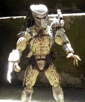 Predator Warrior (Predator) Custom Action Figure