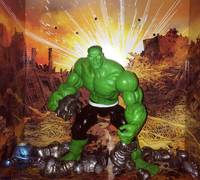 Hulk (Incredible Hulk) Custom Action Figure