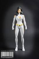 DCUC Phantom Girl, Legion of Superheroes (DC Universe) Custom Action Figure