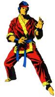 Shang-Chi (Marvel Universe) Custom Action Figure