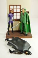 Talia Al Ghul (Mixed Media) (DC Universe) Custom Action Figure