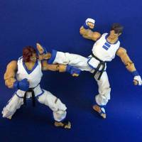 Hwoarang (Tekken) Vs. Kim Kaphwan (FF-KOF) (Tekken) Custom Action Figure