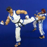 Hwoarang (Tekken) Vs. Kim Kaphwan (FF-KOF) (Tekken) Custom Action Figure