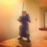 Sith Assassin (Star Wars The Old Republic) Custom Action Figure