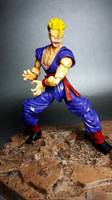 Gohan (S.H. Figuarts) Custom Action Figure