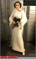 A New Hope Princess Leia (Star Wars) Custom Action Figure