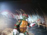 Raphael King of Sewers (Teenage Mutant Ninja Turtles) Custom Action Figure