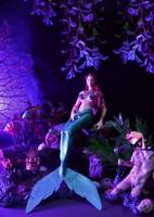 Ariel: the Little Mermaid (Fantasy) Custom Action Figure