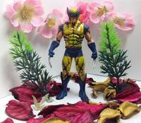 Wolverine (X-Men) Custom Action Figure