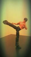 Law (Tekken) Custom Action Figure