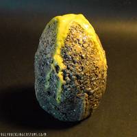Alien Egg / Ovomorph (Aliens) Custom Other