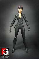 DC Direct Catwoman V.2 (DC Direct) Custom Action Figure