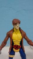 Morph X-Men Animated Series (Marvel Legends) Custom Action Figure