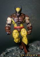 Wolverine (Marvel Legends) Custom Action Figure