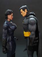 Catwoman/Selina Kyle (Batman) Custom Action Figure