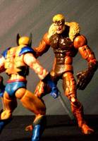 Sabretooth (X-Men) Custom Action Figure