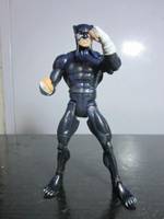 Wildcat (DC Universe) Custom Action Figure