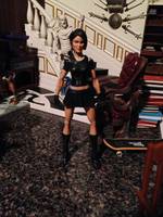 Selina Kyle Secret Identity Catwoman (DC Universe) Custom Action Figure