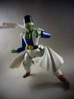 S.H Figuarts Epic Pikkon (Dragonball Z) Custom Action Figure