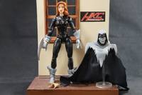 Mask of the the Phantasm Andrea Beaumont (Batman Animated) Custom Action Figure