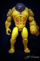 Holocaust (Marvel Legends) Custom Action Figure