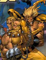 Age of Apocalypse Sabretooth (Marvel Universe) Custom Action Figure