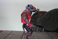"Realistic" Bebop (Teenage Mutant Ninja Turtles) Custom Action Figure