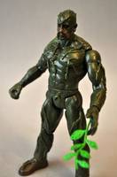 Swamp Thing (DC Universe) Custom Action Figure