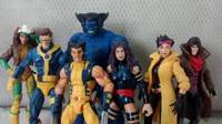 Marvel Universe Blue Beast (Marvel Universe) Custom Action Figure