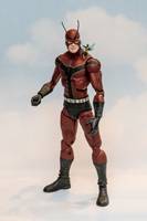 Giant Man & Wasp (Marvel Legends) Custom Action Figure