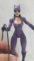 Catwoman (DC Direct) Custom Action Figure