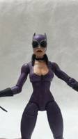 Catwoman (DC Direct) Custom Action Figure