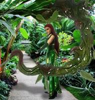 Poison Ivy (DC Universe) Custom Action Figure