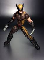 Wolverine (Astonishing Brown Concept) (Marvel Universe) Custom Action Figure