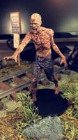 Walking Dead Wolves Marked Walker (Walking Dead) Custom Action Figure