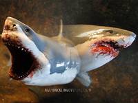 Great Shark (Original) Custom Statue / Bust