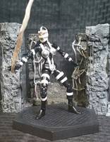 Lashina (DC Universe) Custom Action Figure
