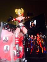 Harley Quinn (Batman - Arkham City) Custom Action Figure