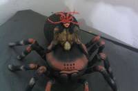 Spider-Woman , Royal Evolution (Marvel) Custom Action Figure