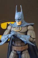 Batman (Judge Dredd) (DC Universe) Custom Action Figure