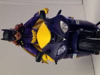Batgirl (DC Superheroes) Custom Action Figure