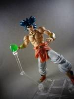 S.H Figuarts Broly (Dragonball Z) Custom Action Figure