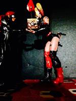 Harley Quinn Version 2 (Batman - Arkham City) Custom Action Figure