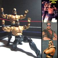 Powers of Pain (Masters of the Wrestling Universe) (Masters of the Universe) Custom Action Figure