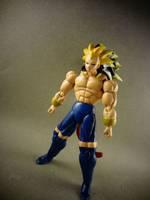 S.H Figuarts Rigor the True Legendary Super Saiyan #800 (Dragonball Z) Custom Action Figure